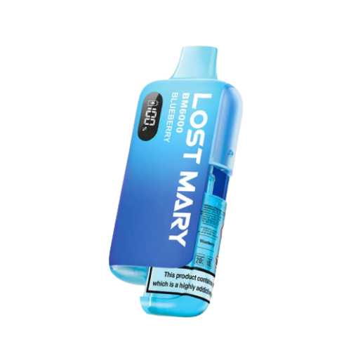 Lost Mary BM6000 Refillable Pod Kit Blueberry